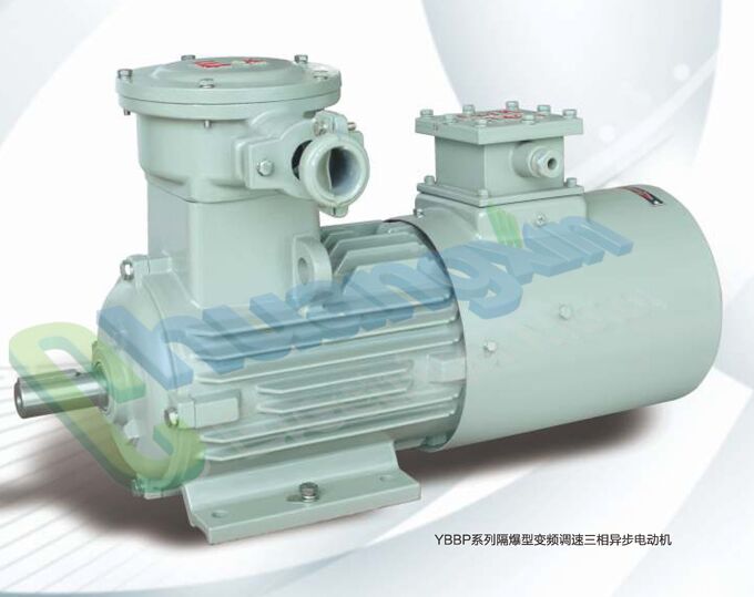 YBBPϵ�и����ͱ�Ƶ���������첽�綯��